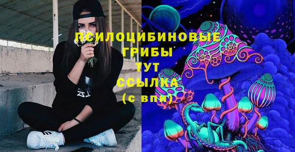 стаф Абаза