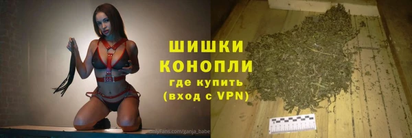 стаф Абаза