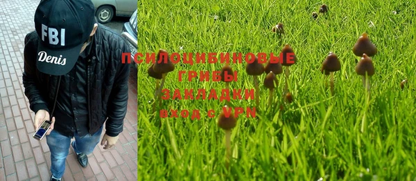 стаф Абаза